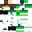 Minecraft Skin Flat